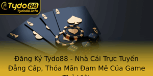 Ang Ky Tydo88 Nha Cai Truc Tuyen Ang Cap Thoa Man Am Me Cua Game Thu Viet
