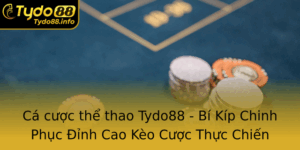 Ca Cuoc The Thao Tydo88 Bi Kip Chinh Phuc Inh Cao Keo Cuoc Thuc Chien