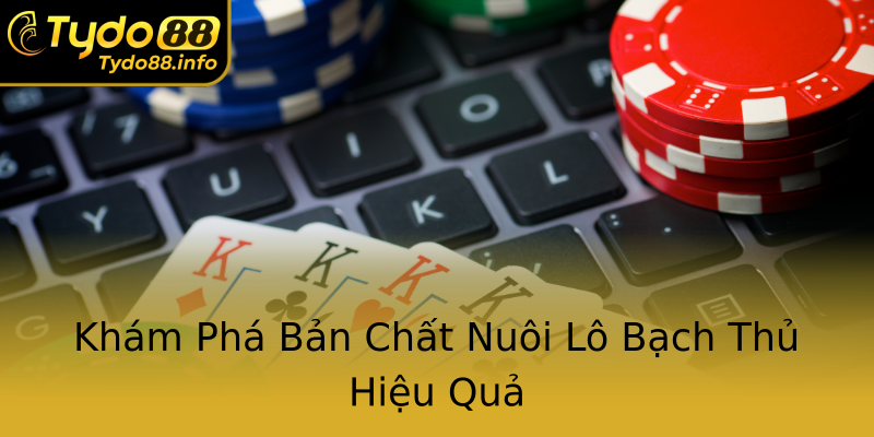 Khám Phá Bản Chất Nuôi Lô Bạch Thủ Hiệu Quả Khám Phá Bản Chất Nuôi Lô Bạch Thủ Hiệu Quả