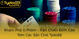 Kham Pha U Phom Tran Chien Inh Cao Tren Cac San Choi Tydo88