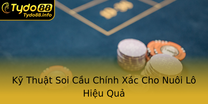 Kỹ Thuật Soi Cầu Chính Xác Cho Nuôi Lô Hiệu Quả Kỹ Thuật Soi Cầu Chính Xác Cho Nuôi Lô Hiệu Quả