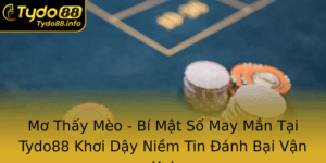 Mo Thay Meo Bi Mat So May Man Tai Tydo88 Khoi Day Niem Tin Anh Bai Van Xui 1