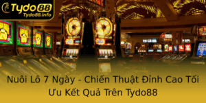 Nuoi Lo 7 Ngay Chien Thuat Inh Cao Toi Uu Ket Qua Tren Tydo88