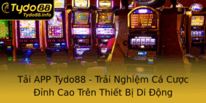 Tai App Tydo88 Trai Nghiem Ca Cuoc Inh Cao Tren Thiet Bi Di Ong