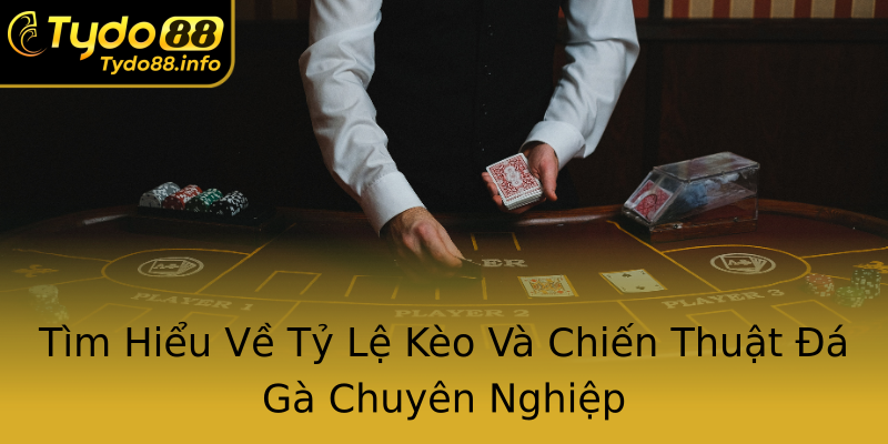 Tìm Hiểu Về Tỷ Lệ Kèo Và Chiến Thuật Đá Gà Chuyên Nghiệp Tìm Hiểu Về Tỷ Lệ Kèo Và Chiến Thuật Đá Gà Chuyên Nghiệp
