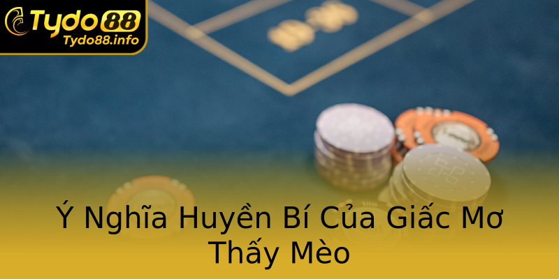 Ý Nghĩa Huyền Bí Của Giấc Mơ Thấy Mèo Ý Nghĩa Huyền Bí Của Giấc Mơ Thấy Mèo